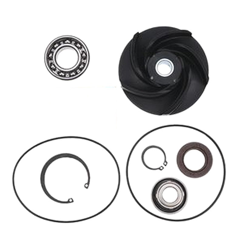 Water Pump Repair Kit 4955802 for Cummins M11 Engine Buymachineryparts