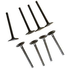Complete Valve Set (1 Set) for Shibaura N844L/T/LT Engine
