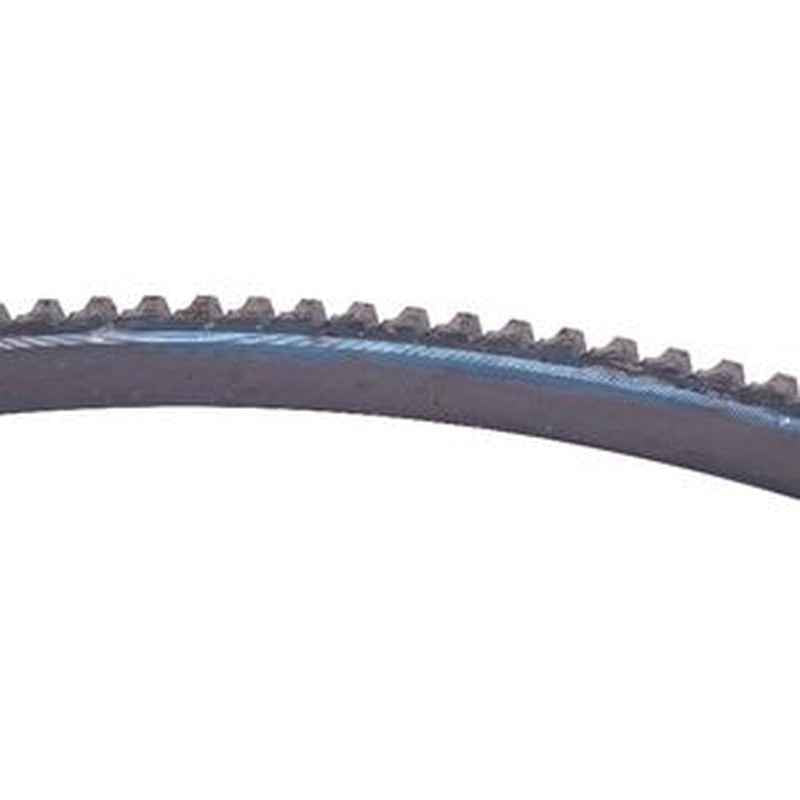 Flywheel Ring Gear 3901774 for Cummins 4B3.9 6BT5.9 Engine
