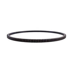Flywheel Ring Gear 3901774 for Cummins 4B3.9 6BT5.9 Engine