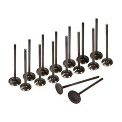 16-Piece Intake & Exhaust Valve Set 13201-AA362/13202-AA371 for Subaru Baja/Impreza/Legacy/Outback