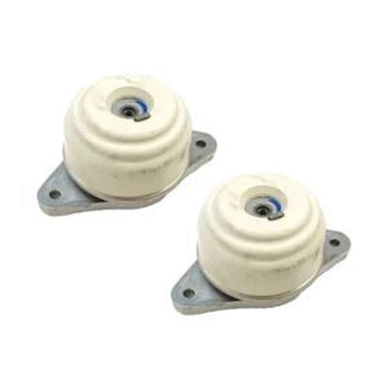 2-Piece Engine Mounts 2042402017 for Mercedes-Benz C300/S450
