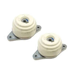 2-Piece Engine Mounts 2042402017 for Mercedes-Benz C300/S450