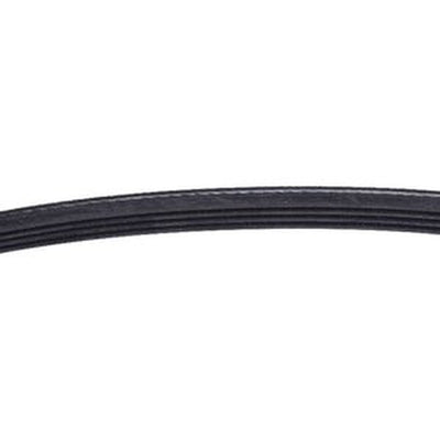 Correa de 2 piezas 4292995M2 para tractores Massey Ferguson