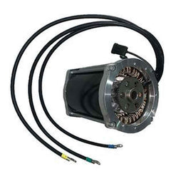 48V AC Drive Motor 611355 for EZGO RXV Golf Carts 2008-Up