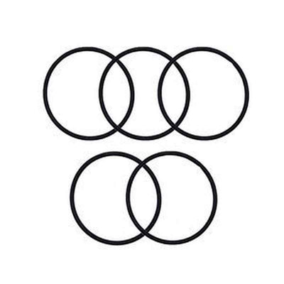 5-Piece O-Ring 0663713400 for Atlas Copco Air Compressor