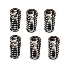 6-Piece Valve Spring Set 3639621 4346579 for Cummins QSK23 QSK78 Engines