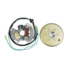 Flywheel Generator with Stator Magneto 2XJ-85550-M1-00 3JM-85560-00-00 for 1990-2006 Yamaha Blaster 200 YFS200
