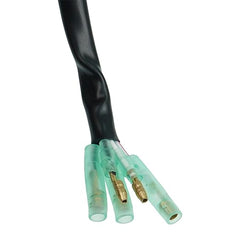 Flywheel Generator with Stator Magneto 2XJ-85550-M1-00 3JM-85560-00-00 for 1990-2006 Yamaha Blaster 200 YFS200