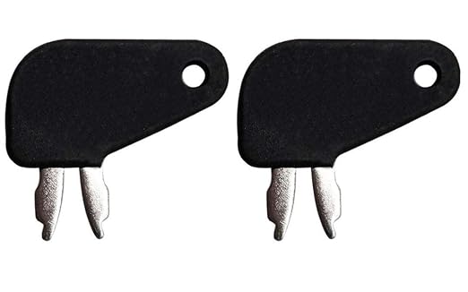 Ignition Switch Master Disconnect keys 8H-5306 for Caterpillar CAT Excavator 311B 311C 311DLRR 311FLRR 312 312BL 312C 312CL