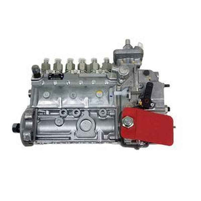 Fuel Injection Pump 3929601 J929601 for Cummins 6B5.9 Engine & Case Combine