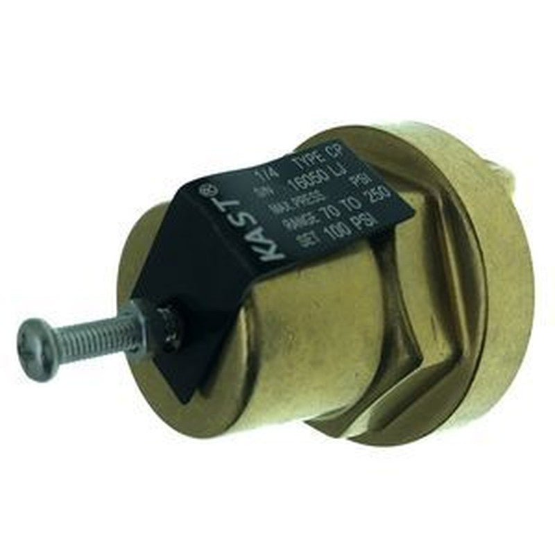 Differential Pressure Regulating Valve 1/4 NPT 406929 for Sullair