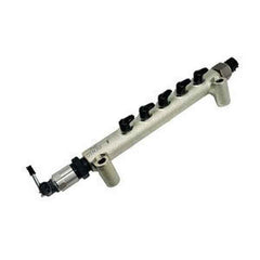 Common Rail Assembly 095440-0953 for Toyota Hilux KUN26R Prado KDJ120 KDJ150 Engine