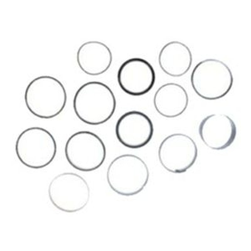 Cylinder Seal Kit 2901554 for JLG Lift 450A 450AJ 800S 860SJ