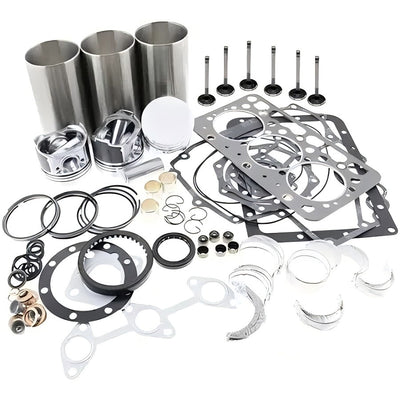 D1100 Engine Rebuild Kit for Kubota L225