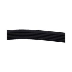 Drum Roller Belt 230718 487230718 481230718 for Wascomat TD30X30 Dryer