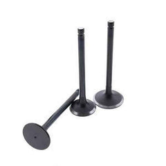 Complete Exhaust Valve Set (1 Set) for Yanmar Engine 3D84-3
