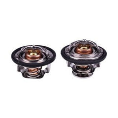 Front & Rear Thermostat Kit 97241129/97241130 for Chevrolet/GMC Trucks