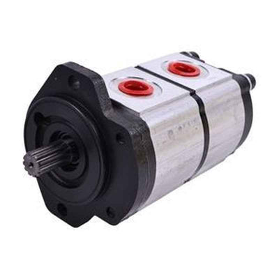 Heavy-Duty Gear Pump 670563ZX for Casappa PLP20.11