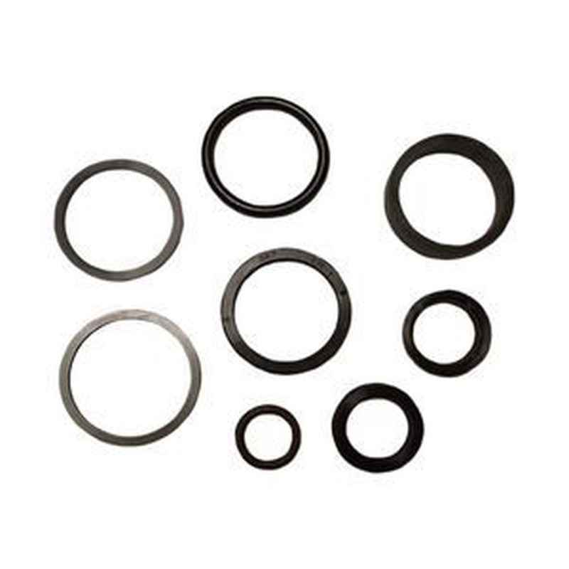 Hydraulic Cylinder Seal Kit D148100 for CASE 1390/1394/480F Loader