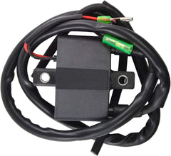 Ignition Coil 3005-381 3005-170 for Arctic Cat Bearcat 340 440 King Cat 900 Mountain Cat 800
