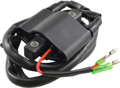 Ignition Coil 3005-381 3005-170 for Arctic Cat Bearcat 340 440 King Cat 900 Mountain Cat 800