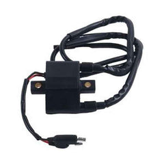 Ignition Coil 4060229 4016199 for Polaris Pro X 440 Snowmobile