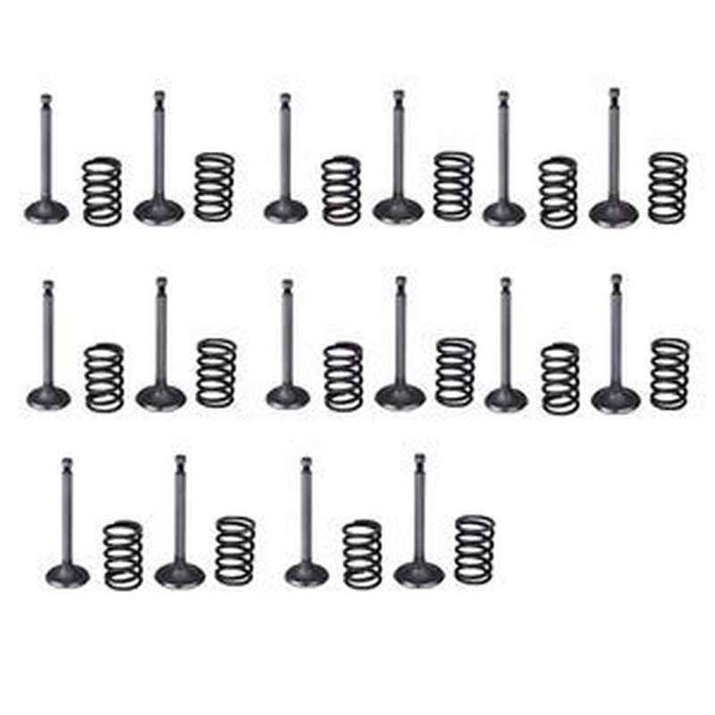 Intake & Exhaust Valve Spring Set for Yanmar 4TNV98 4TNV98T Engine