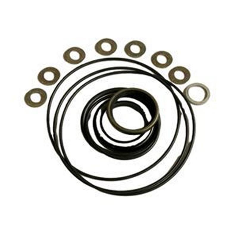 Seal Kit 2421610110 for Haulotte