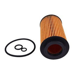 Oil Filter Element for Kohler Lombardini ED0021750010-S