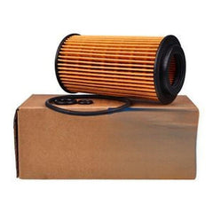 Oil Filter Element for Kohler Lombardini ED0021750010-S