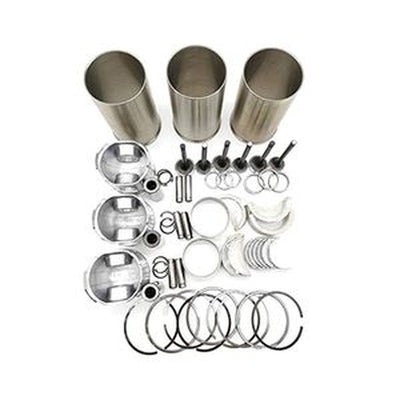 Complete Overhaul Kit for Yanmar 3TN86L Engine