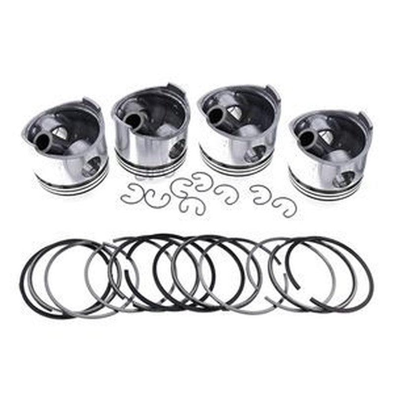 Piston Kit 04207594 for Deutz TCD1013/BF4M1013/BF6M1013 Engine
