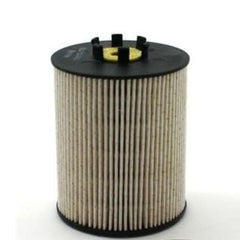 Fuel Filter RC963 Replaces Fleetguard FF5796