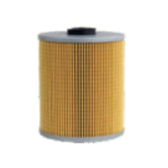 Fuel Filter RC976 Replaces ME034678 FF5072 P5500547