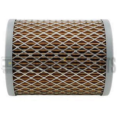 Oil Filter 1014219M92 for Massey Ferguson Tractor 135 150 165 202 2135 2200 3500 203G 304G TE20 TO20 TO30 TO35