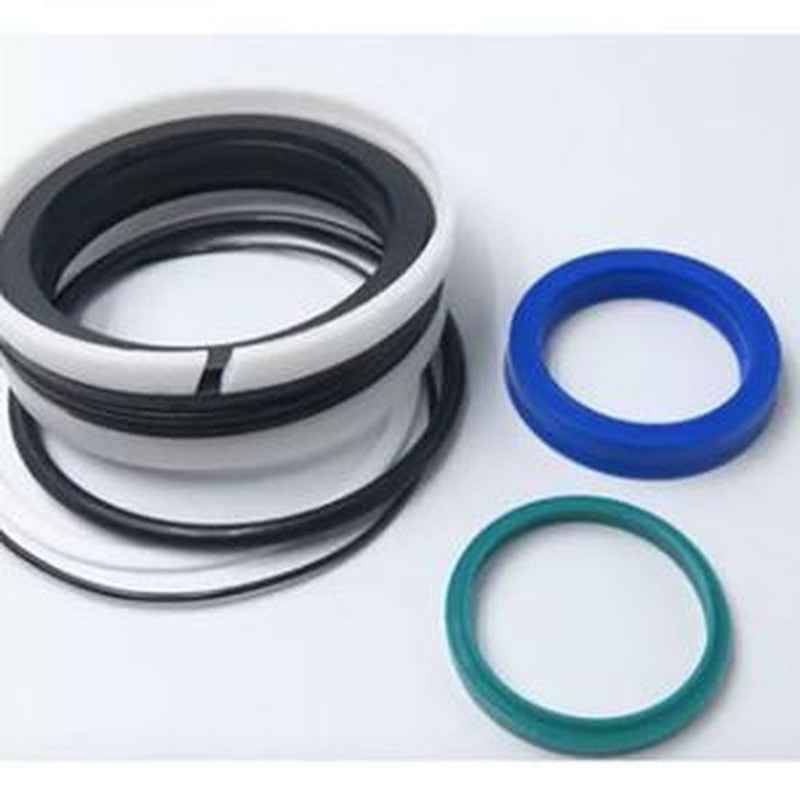 Seal Kit 1976999650 for Terex Excavator TC48