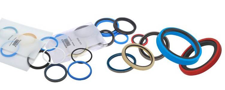 SEAL_KIT-BUYMACHINERYPARTS
