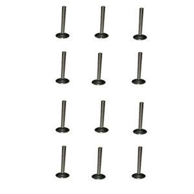 12-Valve Intake Set for Caterpillar CAT 375/375L Excavator Engines