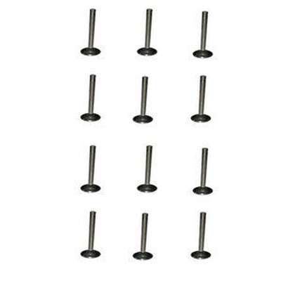 12-Valve Intake Set for Caterpillar CAT 375/375L Excavator Engines