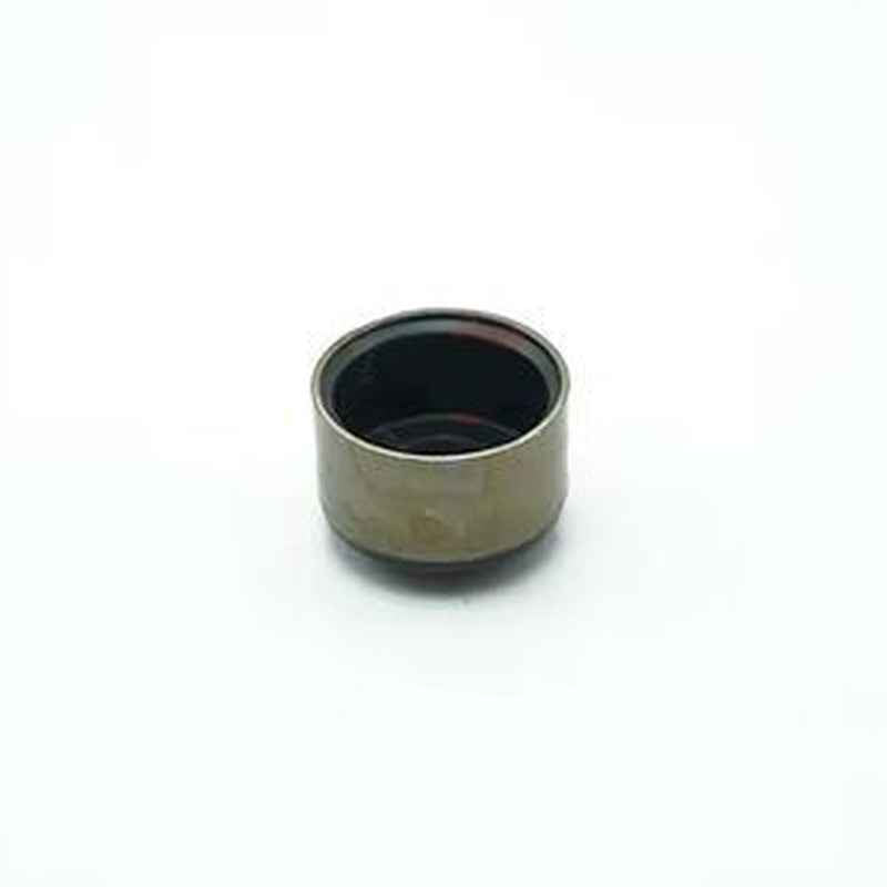 Valve Stem Seal 3646766 for Cummins QSK19/45/60 Engines
