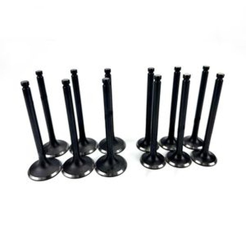 12-Piece Intake & Exhaust Valve Set 3142A171 T423393 for Caterpillar CAT C7.1 Engine