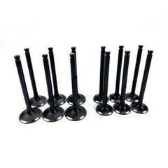 12-Piece Intake & Exhaust Valve Set 3142A171 T423393 for Caterpillar CAT C7.1 Engine