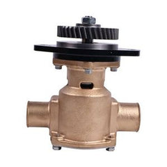 Heavy-Duty Water Cooling Pump 3919899 3922590 P1722 P1716A for Cummins 6B5.9 Engine buymachineryparts
