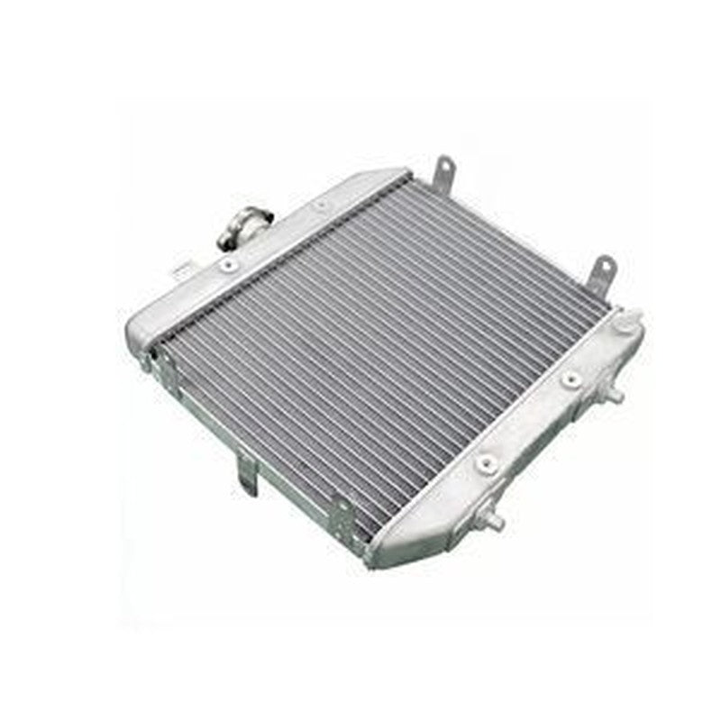 Radiator Water Tank 19010HN2505/19010HN2003 for Honda TRX500FA Foreman