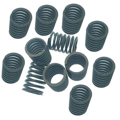 12 Pcs Valve Spring 3900276 3926700 for Cummins 6B 6BT 6BTA 5.9