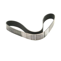 V Ribbed Belt 3681796 for Cummins X15 ISX15 QSX15 Engine 12PK