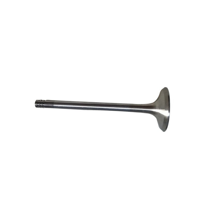 Deutz 2011 Engine Parts 0428 0350 Intake valve