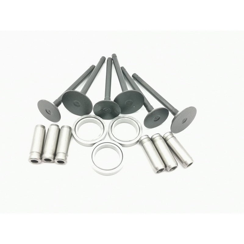 Overhaul Rebuild Kit D902 for Kubota RTV900 RTV900G RTV900G9 RTV900R RTV900T RTV900W RTV900RW