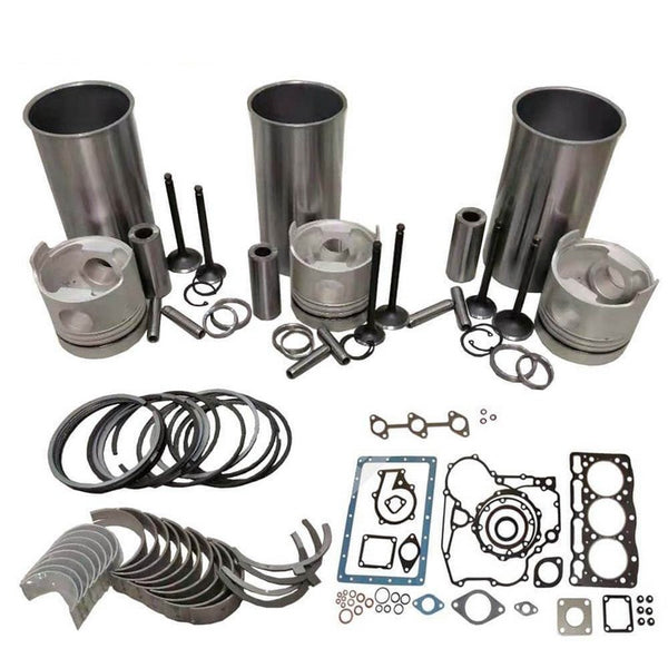 In-Frame Overhaul Rebuild Kit For Deutz F3L2011 Engine
